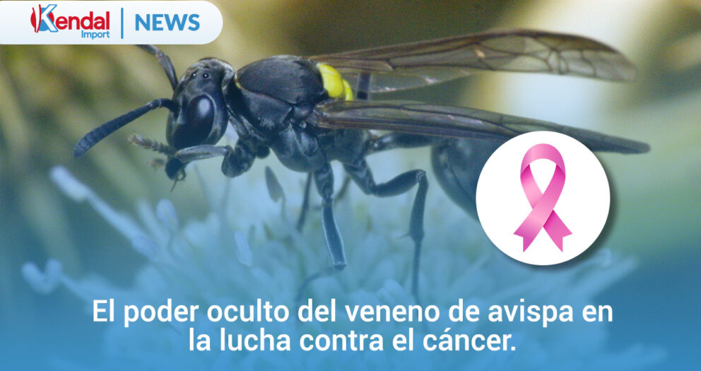 veneno de avispa